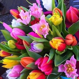 Meet your Posher, Lisa